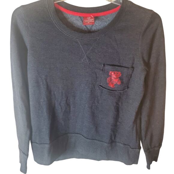 Colosseum Wisconsin Badgers Charcoal Gray Sweatshirt, NWOT, Med - Picture 1 of 6